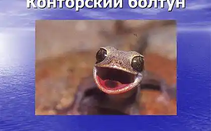 Кожен офіс має один. й