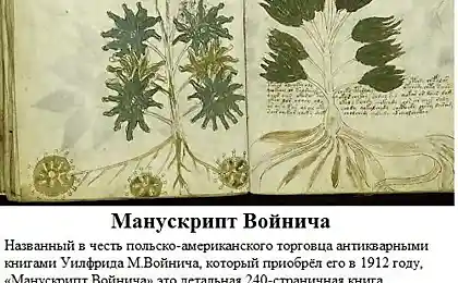 Тайны и загадки мира (8 фото)
