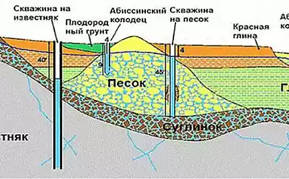 Абиссинский колодец: устройство скважины иглы своими руками