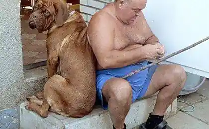 Люди и звери