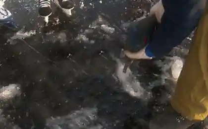 Рыба во льду