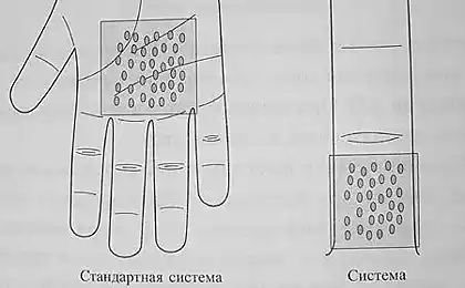Використання внутрішніх лікувальних властивостей рослин для дерматології насіння