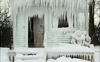 Не запер дверь (5 фотографий)