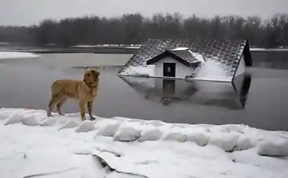 Наводнение (30 фотографий)