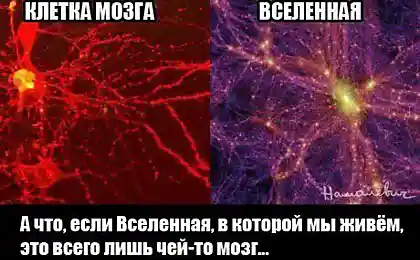 Все очень даже может быть