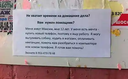 Пацан не пропадет