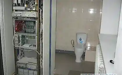 Дожились