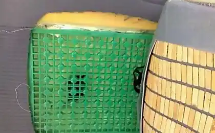 Асамблея своїми руками