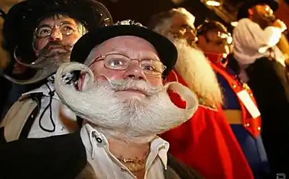 Moustached and bearded