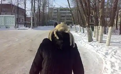 Хедкрабы в твоем городе!