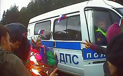 Подкормка ДПС