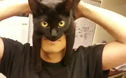 CatMan