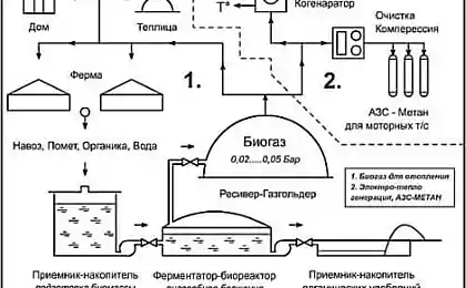 Простая биогазовая установка дома