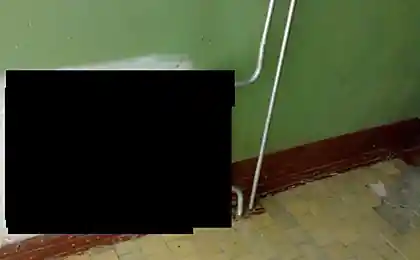 Що це таке.
