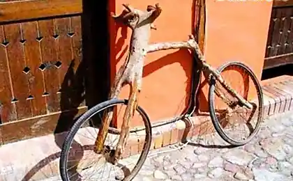 Всего два колеса, а сколько креатива