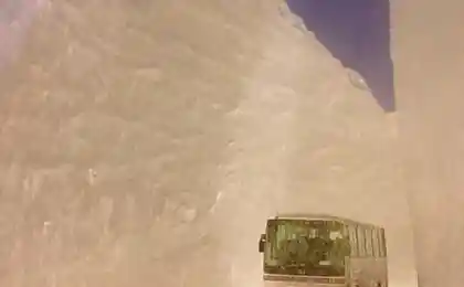 Снежком завалило