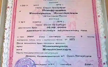 Неужели все эти торты можно есть?