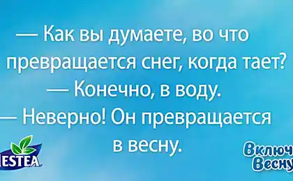 20 листівок для тих, хто пропустив навесні так багато