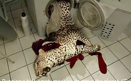 Социально :(