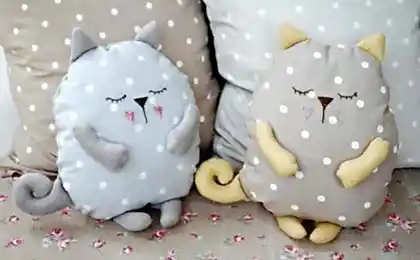 Los secretos de una buena noche de sueño - наполняем almohada a base de hierbas