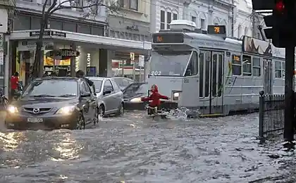 Весна в Австралии (42 фотографии)