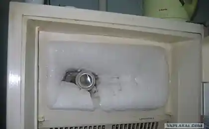 Холодильник для пива