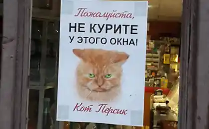 20 Оголошення місяця ми проведемо
