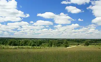 Лето в картинках