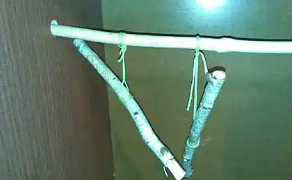 Плечики