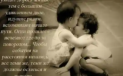 Несколько картинок о жизни