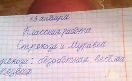 Написати нам: