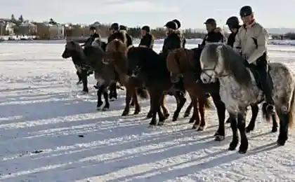 Поехали! (5 фотографий)