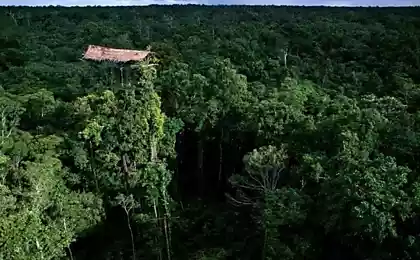 Изолированное от внешнего мира племя Короваи (10 фото)