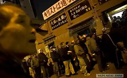 Старики в Японии