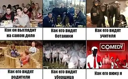 Мой школьный класс ....)))