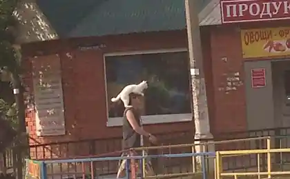 В Щелково можно встретить вот такое