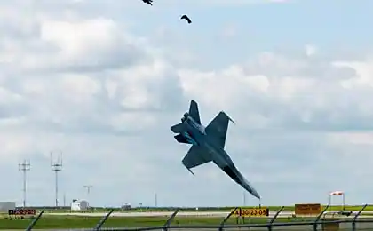 У Канаді на повітряному суді збито бійця CF-18