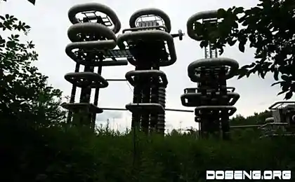 Что это такое построили в лесу?