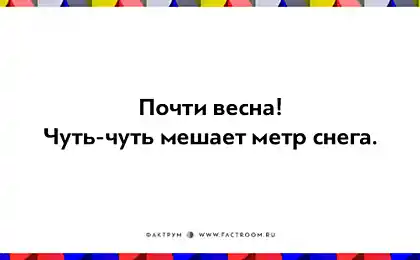 15 оптимістичних карток, які допоможуть вам виглядати в світі позитивно