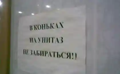 С приветом из туалета
