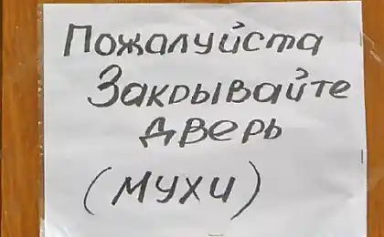 Разные надписи и объявления