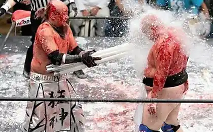 Japanese fighting without rules