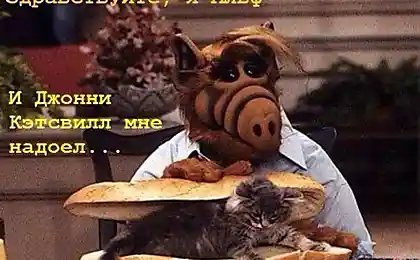 А з нами, Алф.