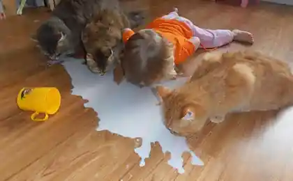 В большой семье...