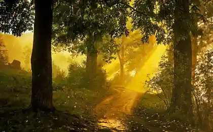 "Пейзаж". Фотограф Сергей Брага