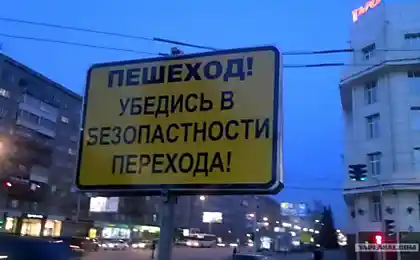 Реформа образования удалась!