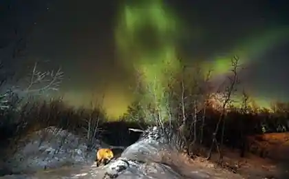 Свежая подборка удивительных снимков от National Geographic