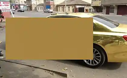 Проверка на вшивость