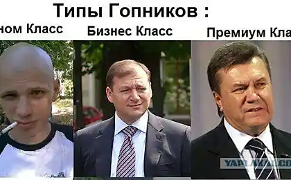 Класификация гопников.......
