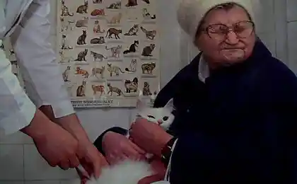 Интересно, кому больнее?